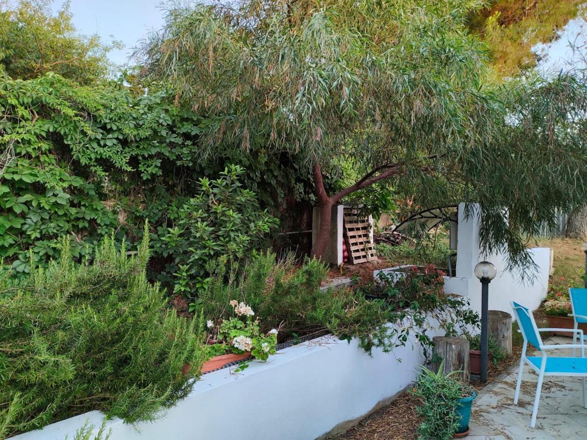 Filoxenia Di Umberto Guest House Sassari Ngoại thất bức ảnh