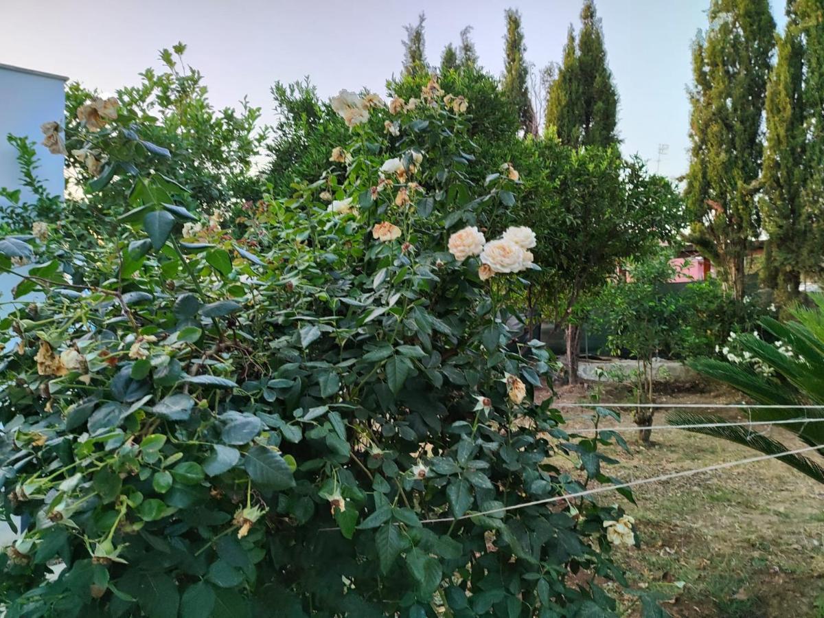 Filoxenia Di Umberto Guest House Sassari Ngoại thất bức ảnh