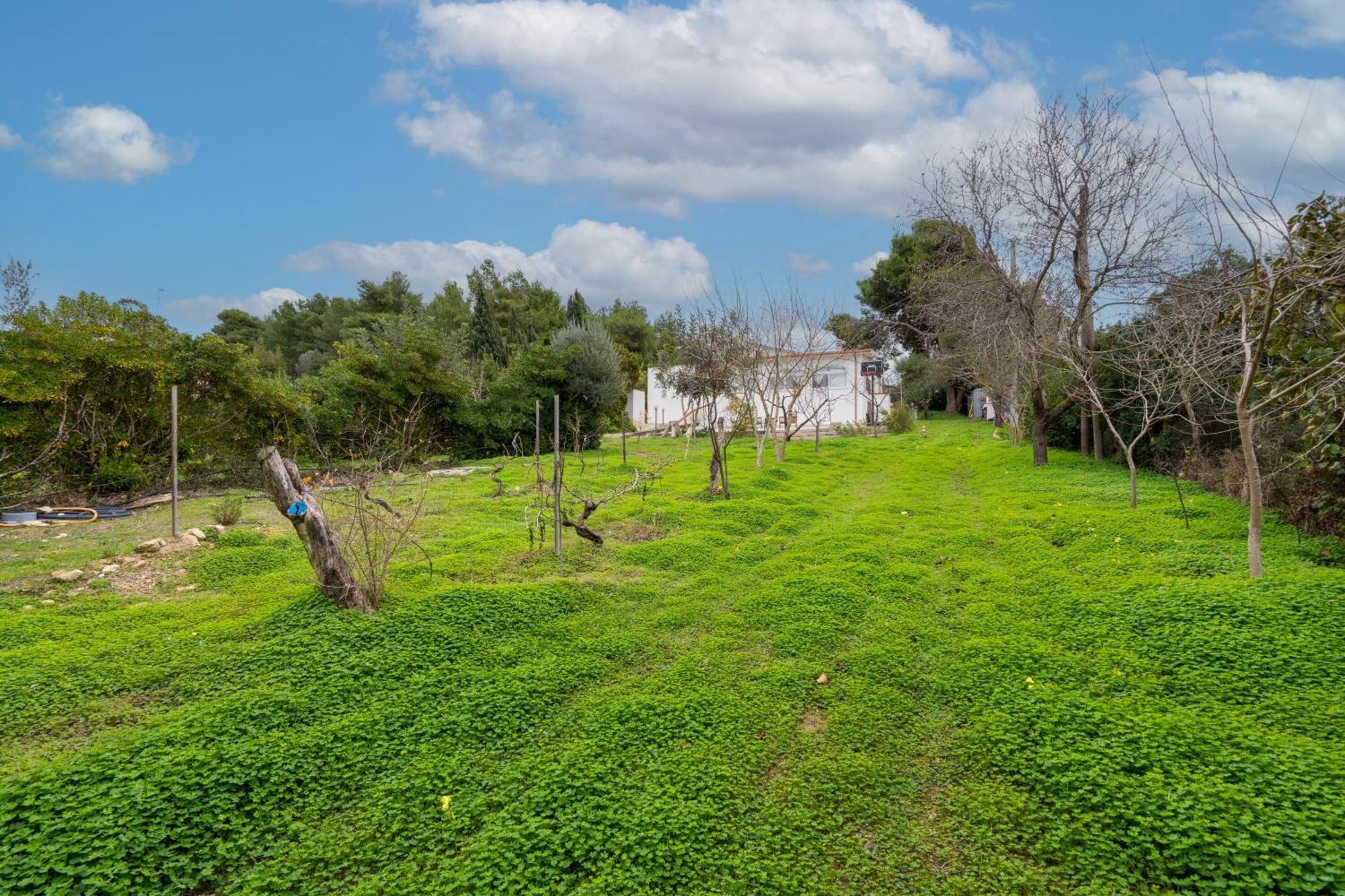 Filoxenia Di Umberto Guest House Sassari Ngoại thất bức ảnh